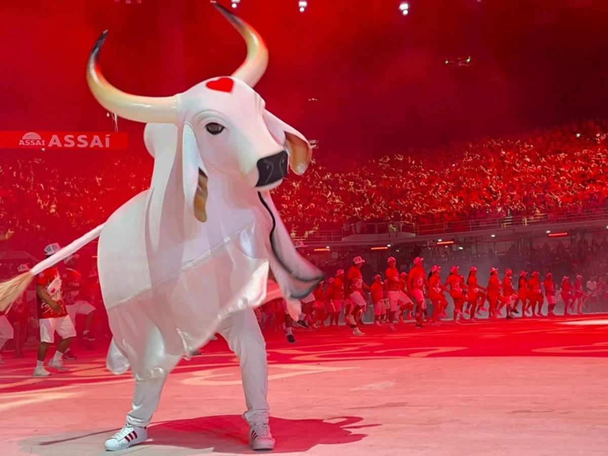 Festa de Lançamento Garantido Manaus